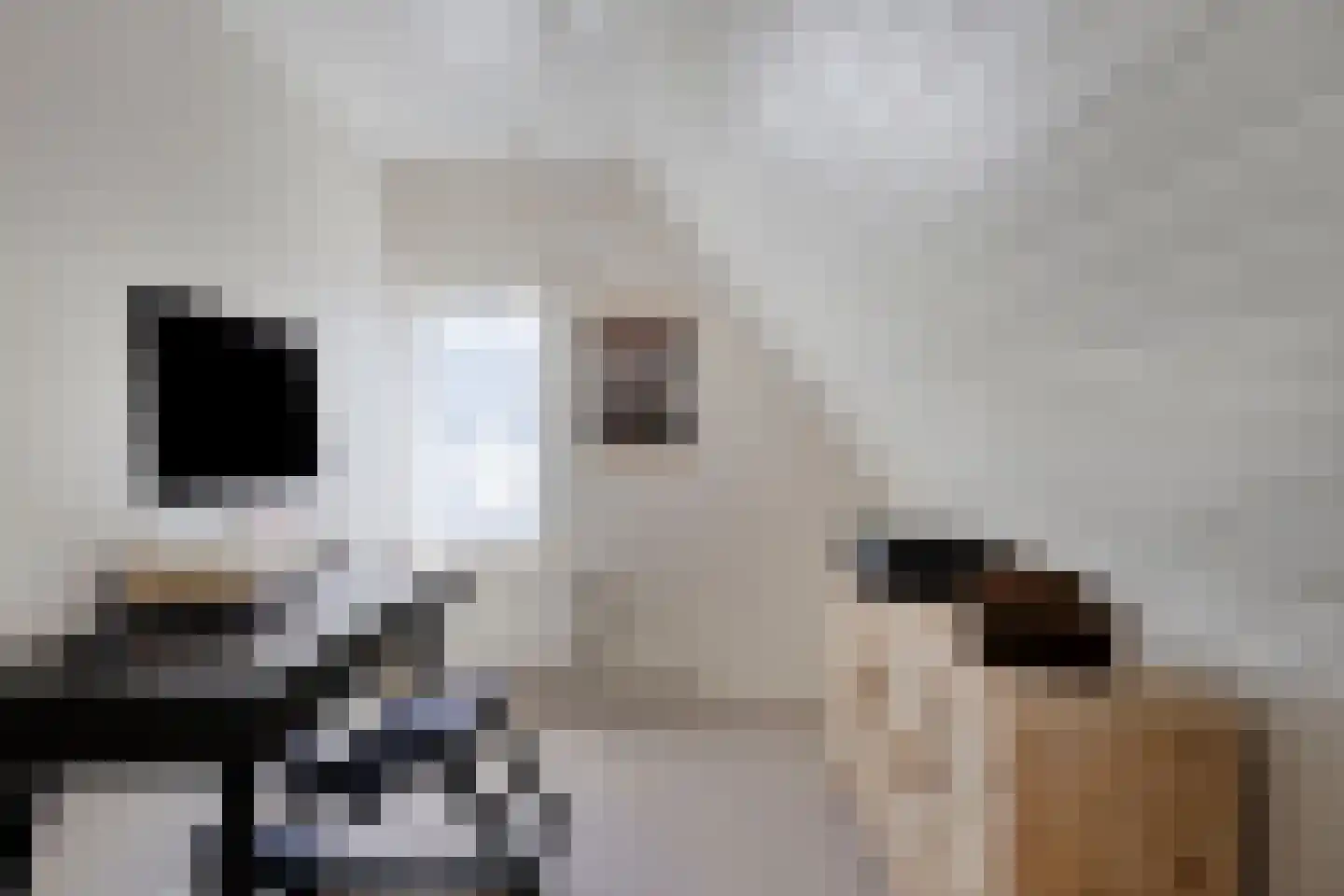 Kerkstraat 9 Luyksgestel thumbnail 19