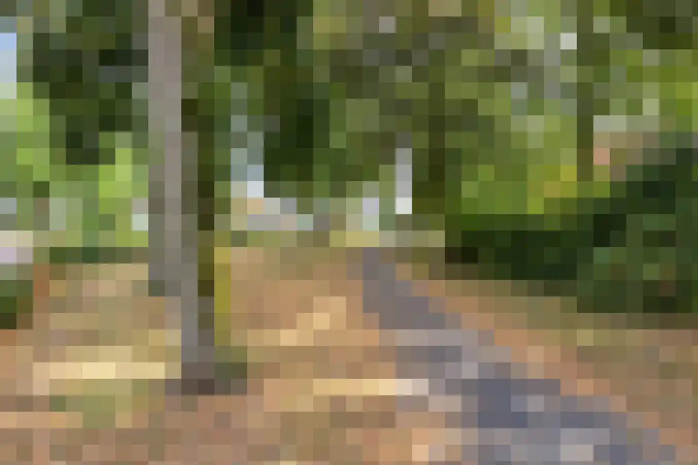 Kerkstraat 9 Luyksgestel thumbnail 33