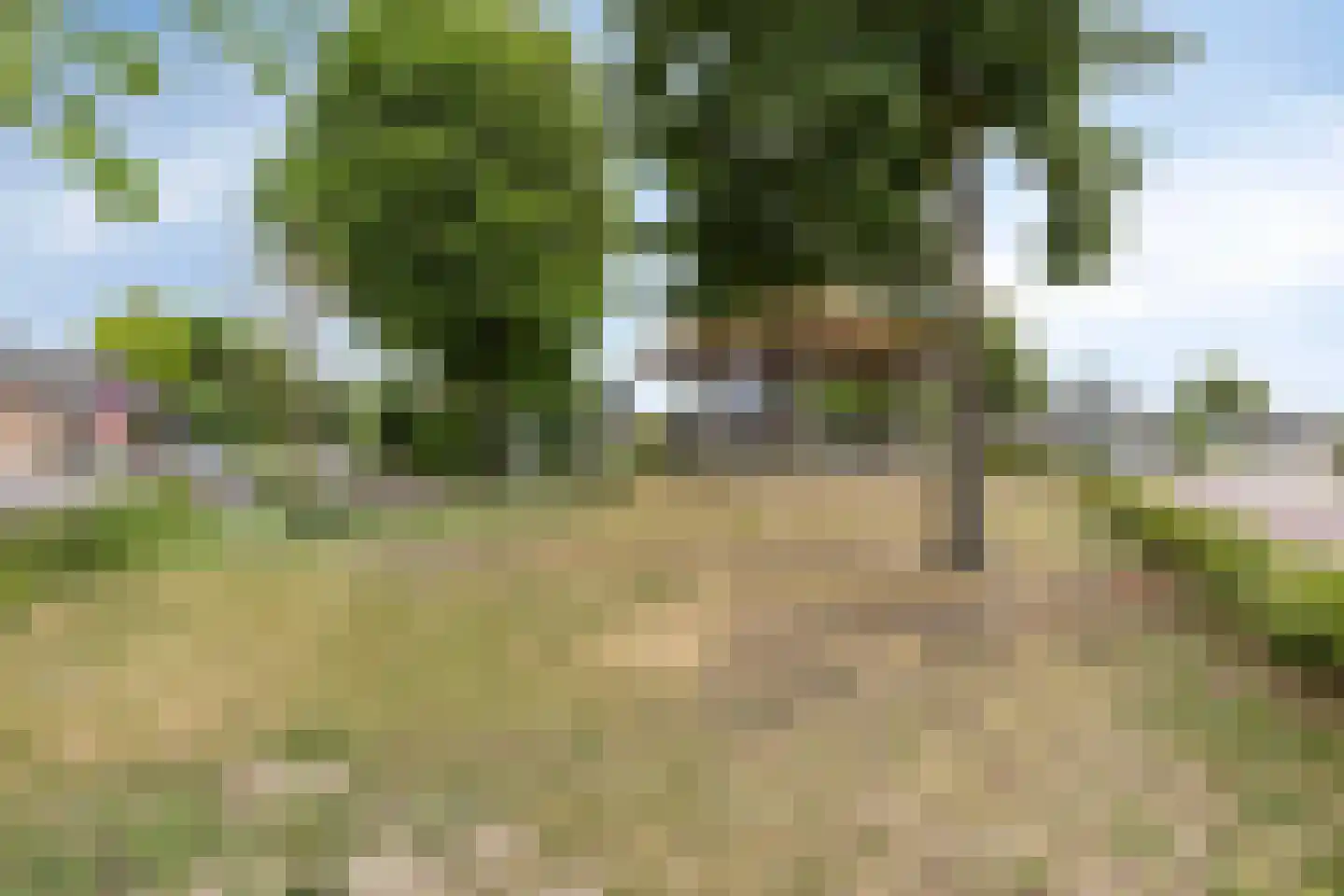 Kerkstraat 9 Luyksgestel thumbnail 34