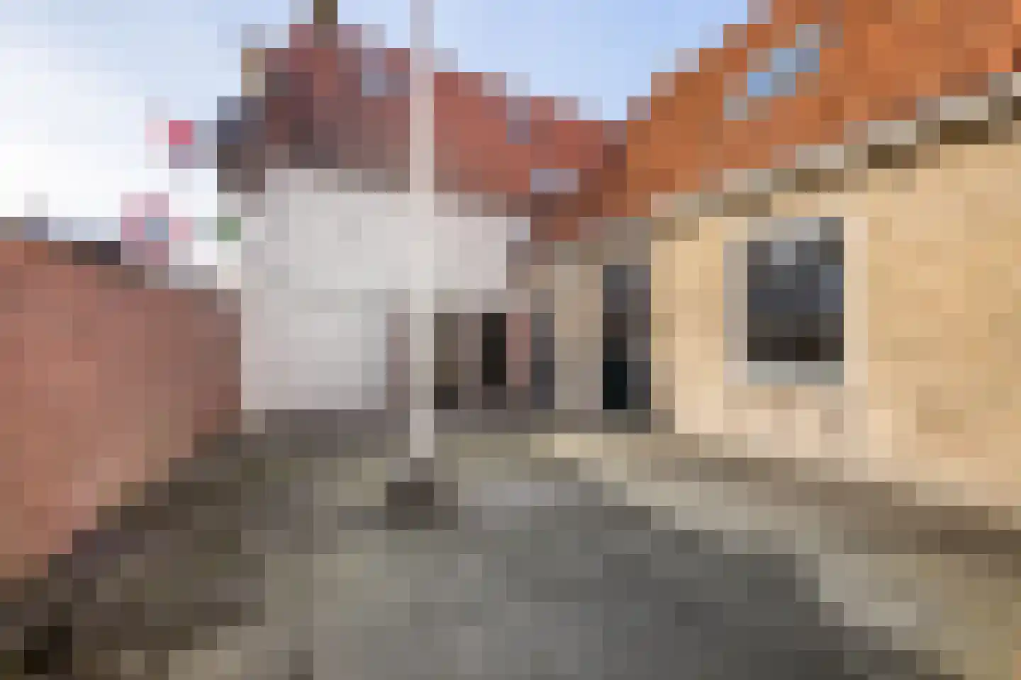 Kerkstraat 9 Makkum thumbnail 18