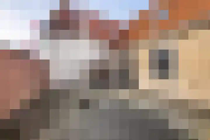 Kerkstraat 9 Makkum thumbnail 18