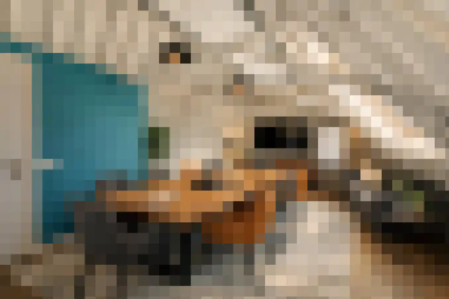 Kerkstraat 9 Makkum thumbnail 39