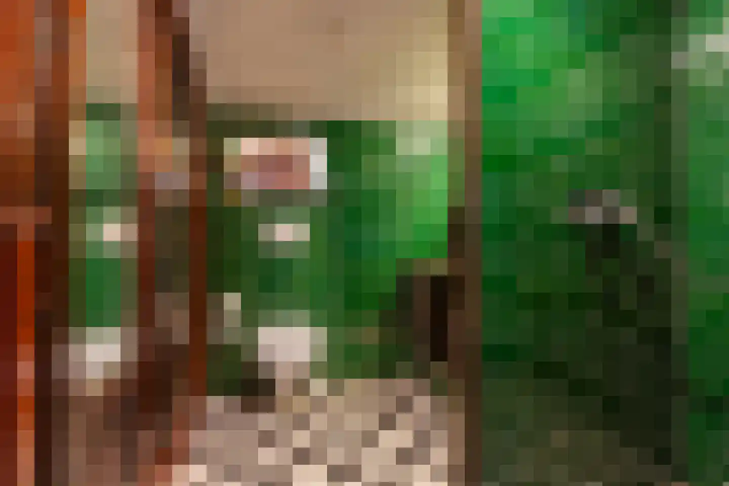 Kerkstraat 9 Musselkanaal thumbnail 28