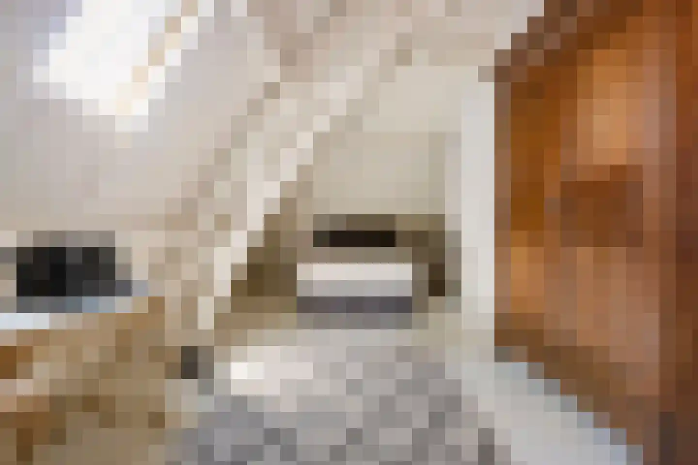 Kerkstraat 9 Musselkanaal thumbnail 31