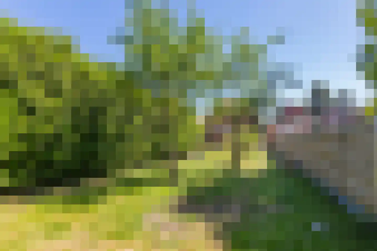 Kerkstraat 9 Musselkanaal thumbnail 35