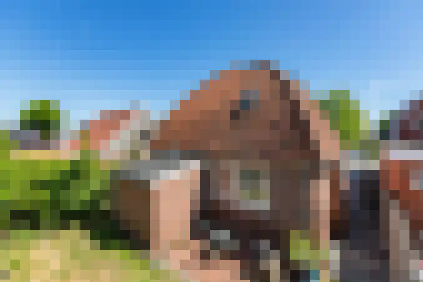 Kerkstraat 9 Musselkanaal thumbnail 37