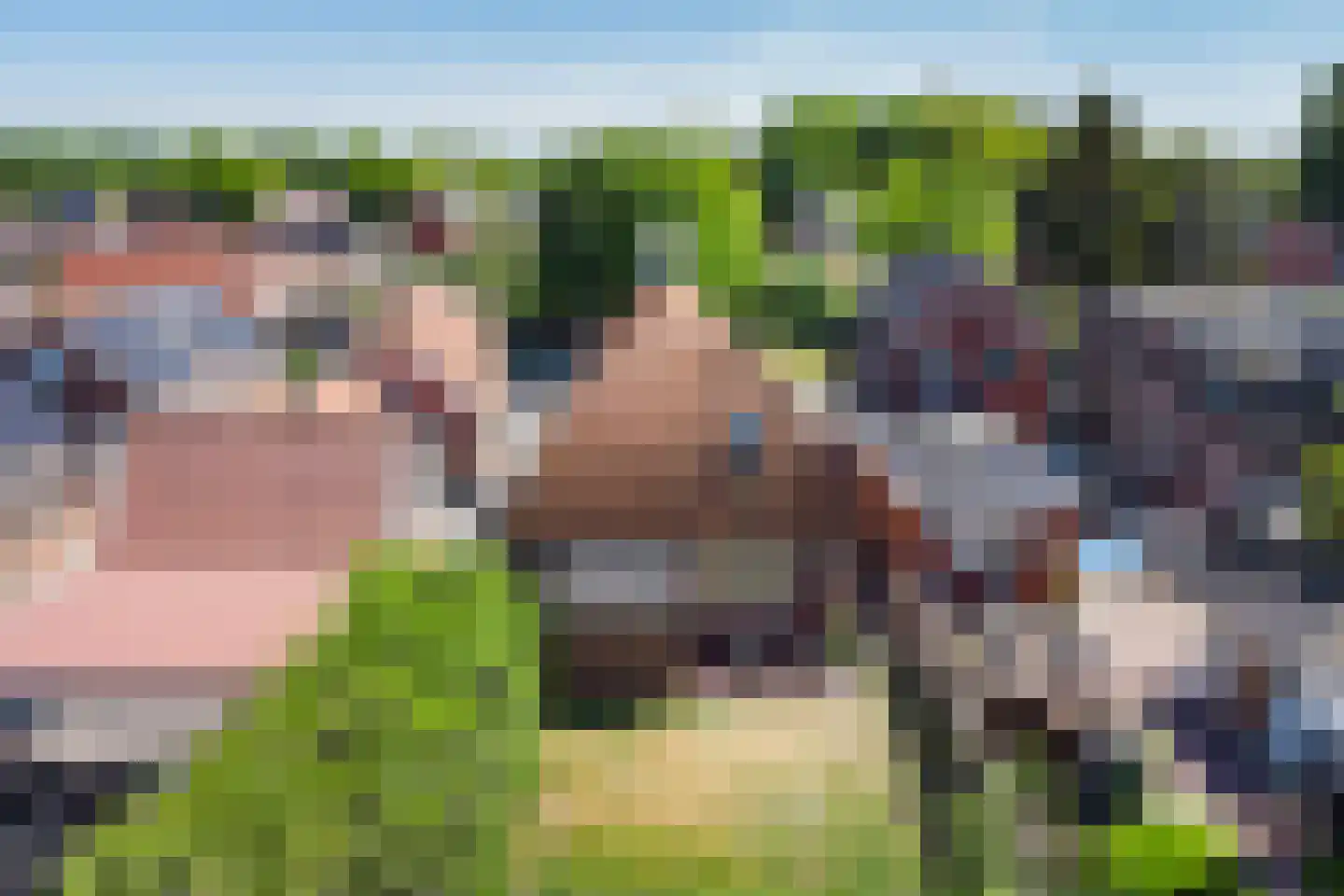 Kerkstraat 9 Musselkanaal thumbnail 43