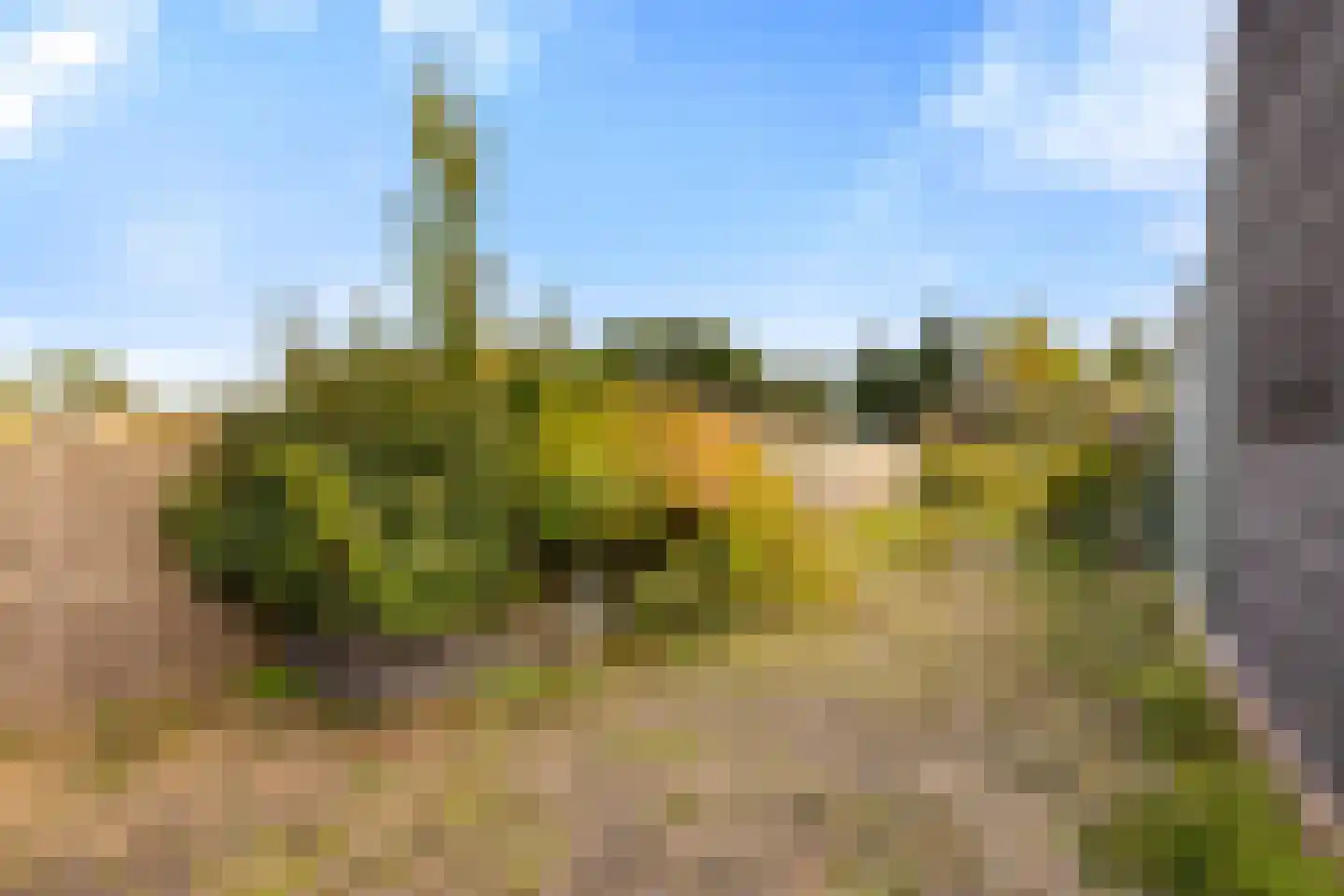 Kerkstraat 9 Oostzaan thumbnail 26
