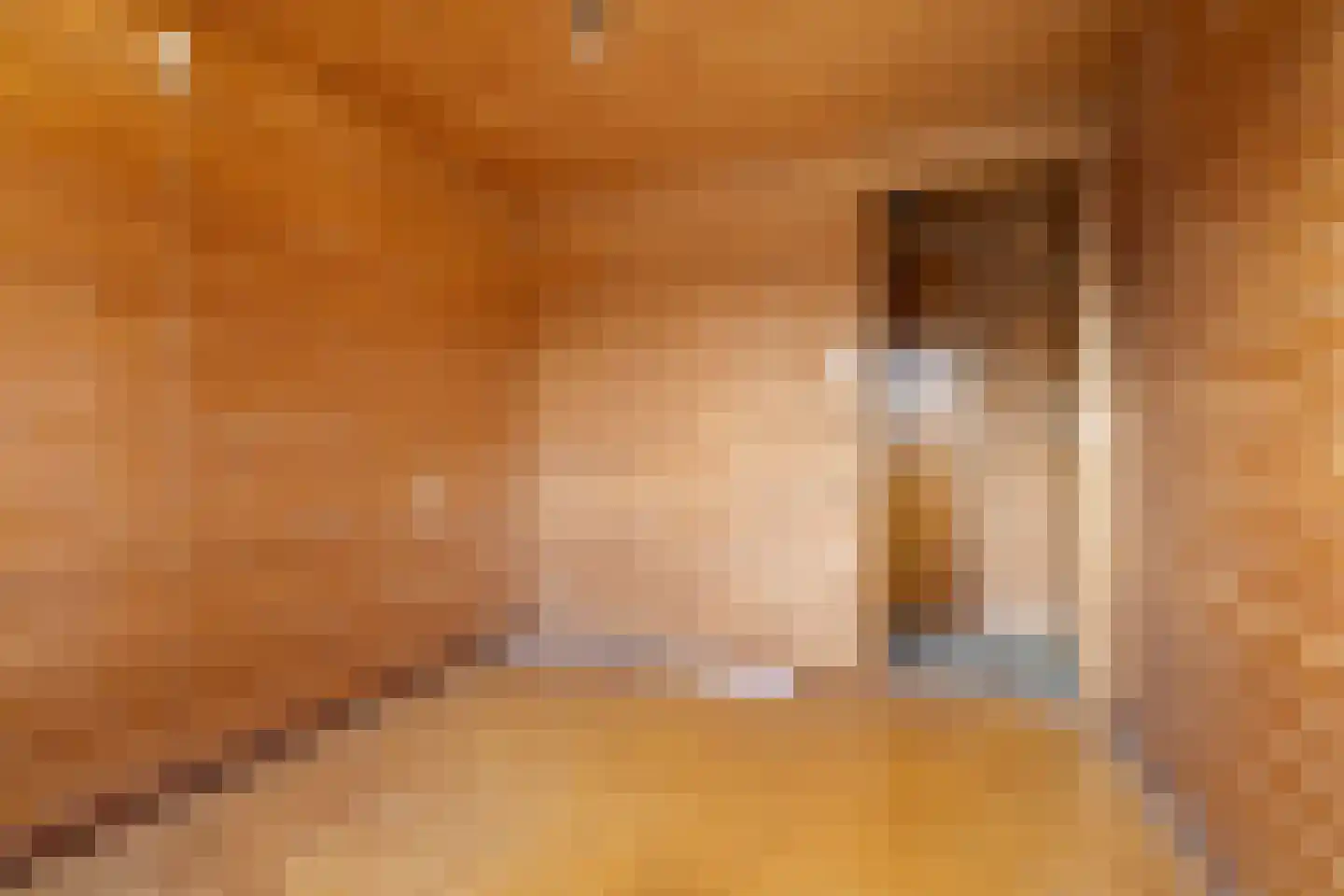 Kerkstraat 9 Oostzaan thumbnail 46