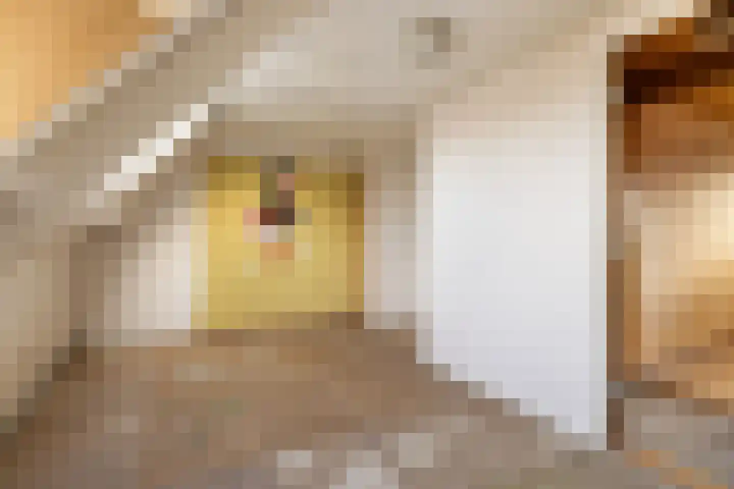 Kerkstraat 9 Oostzaan thumbnail 48