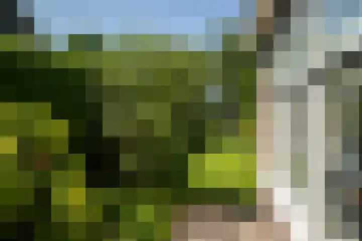 Kerkstraat 9 Peize thumbnail 15