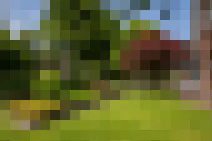 Kerkstraat 9 Peize thumbnail 17