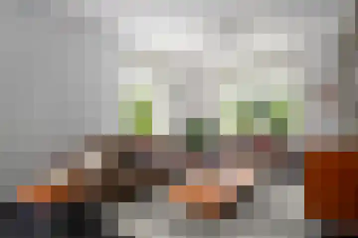 Kerkstraat 9 Peize thumbnail 26