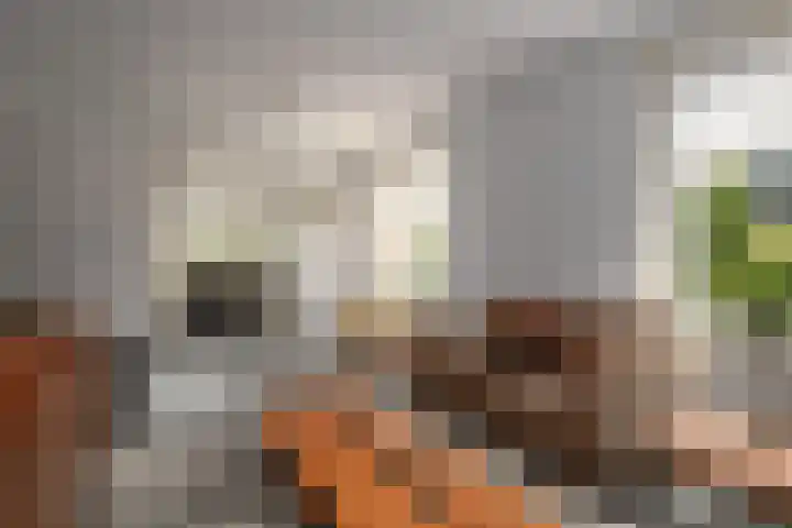 Kerkstraat 9 Peize thumbnail 28