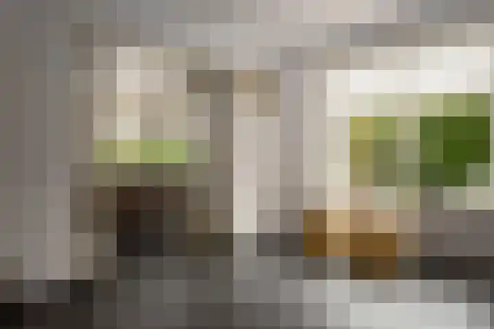 Kerkstraat 9 Peize thumbnail 31