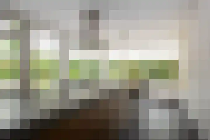 Kerkstraat 9 Peize thumbnail 33