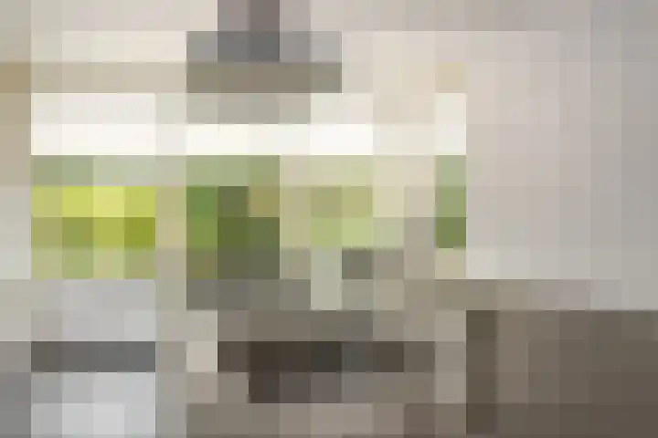 Kerkstraat 9 Peize thumbnail 34