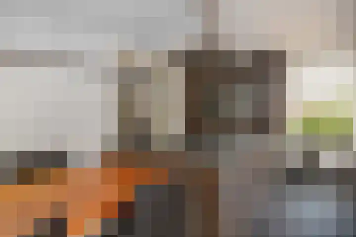 Kerkstraat 9 Peize thumbnail 36