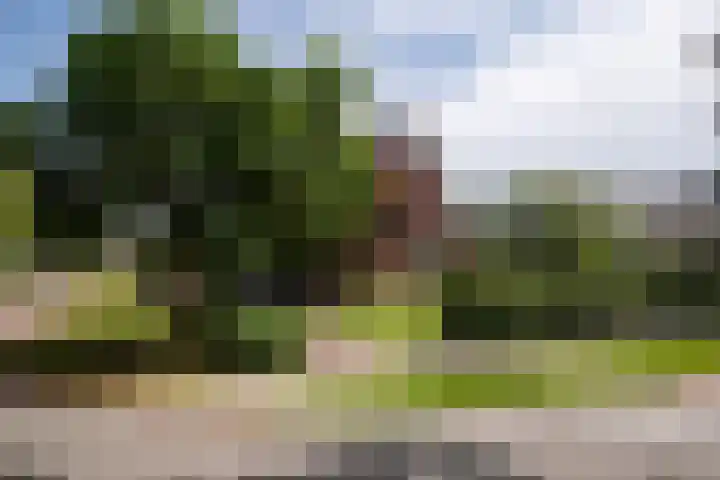 Kerkstraat 9 Peize thumbnail 4