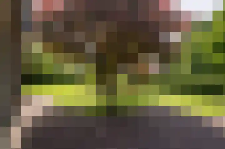 Kerkstraat 9 Peize thumbnail 6