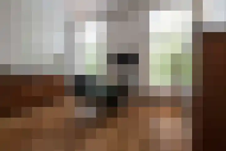 Kerkstraat 9 Peize thumbnail 8