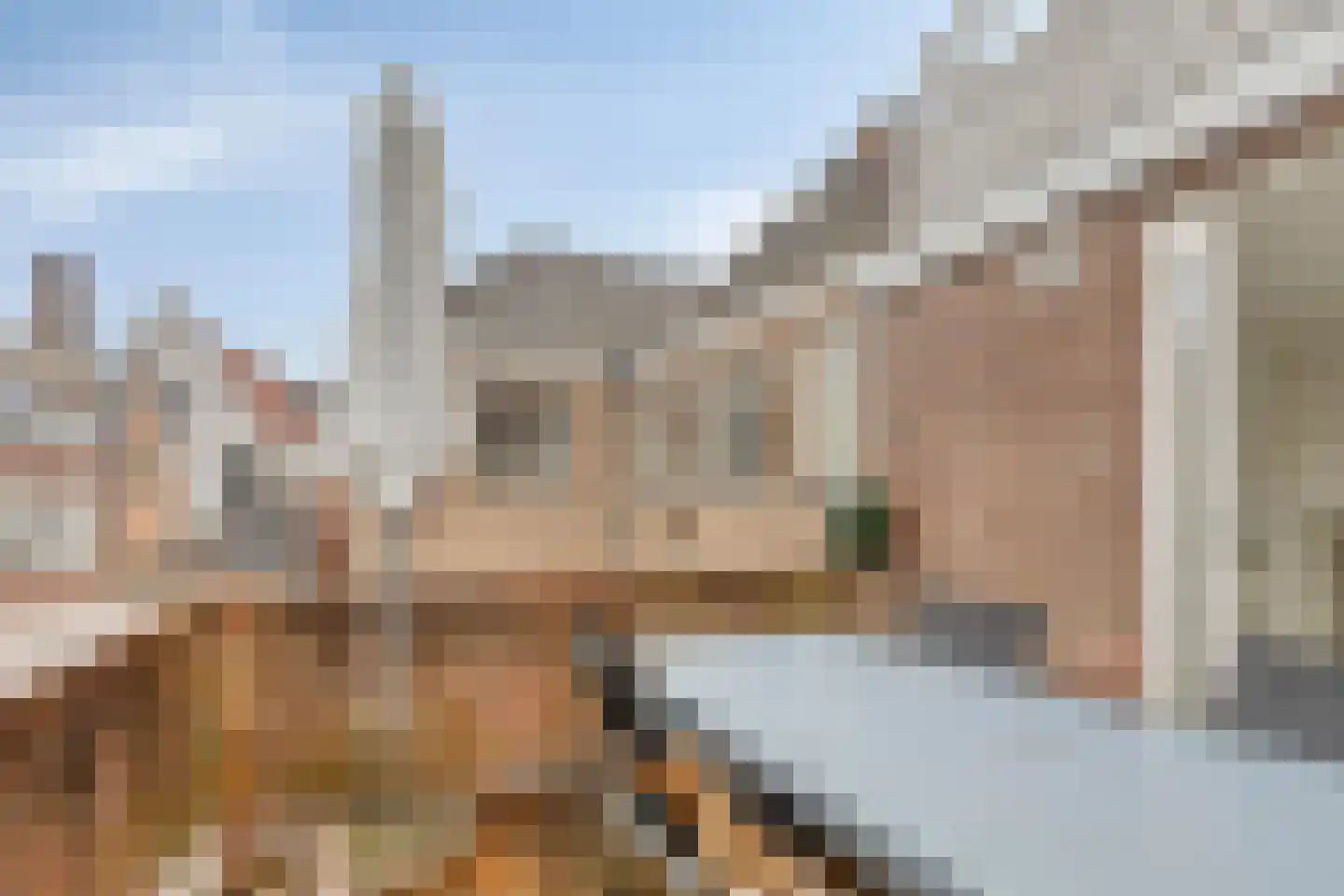 Kerkstraat 9 's-Hertogenbosch thumbnail 13