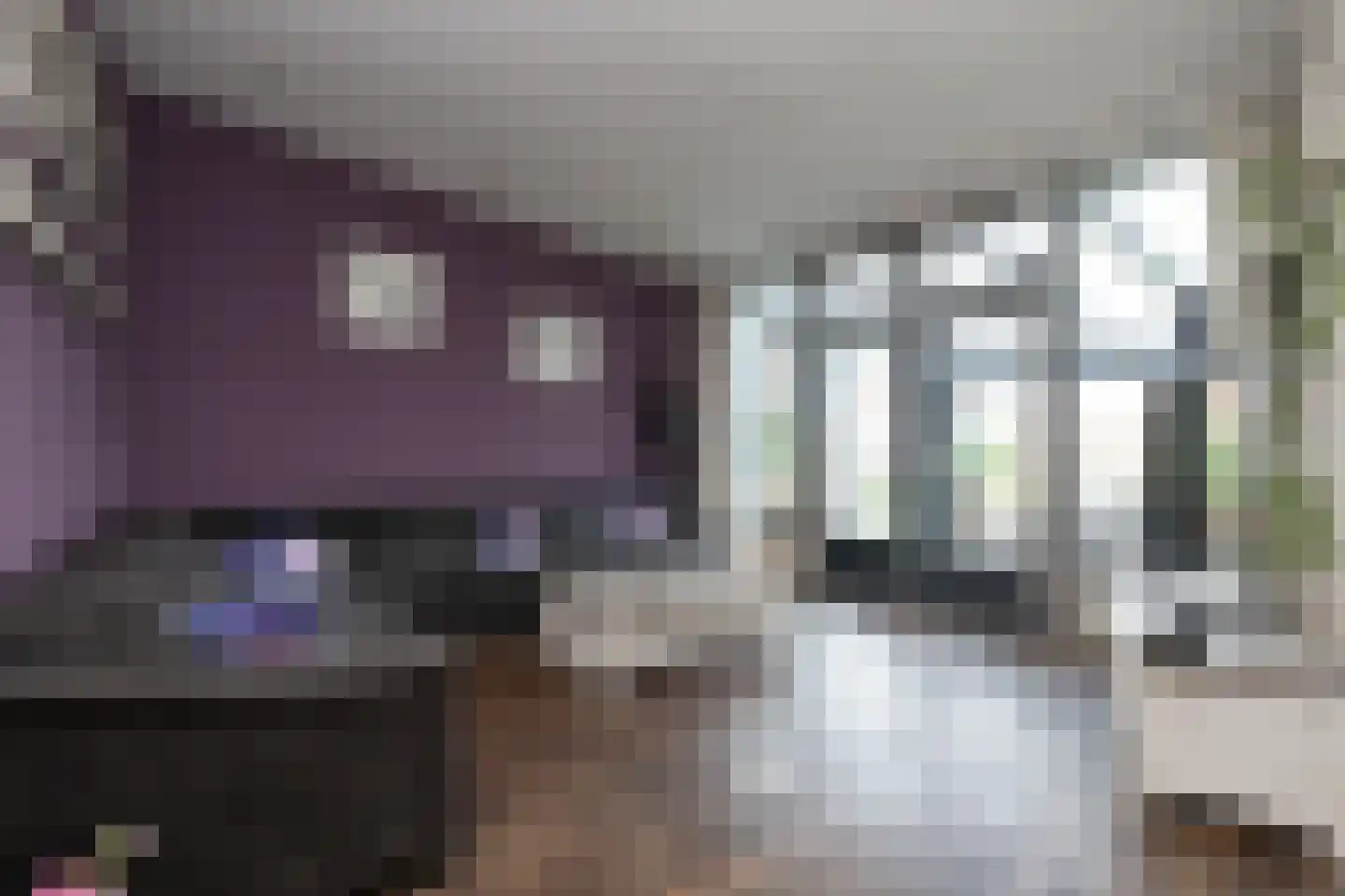 Kerkstraat 9 Stad aan 't Haringvliet thumbnail 8