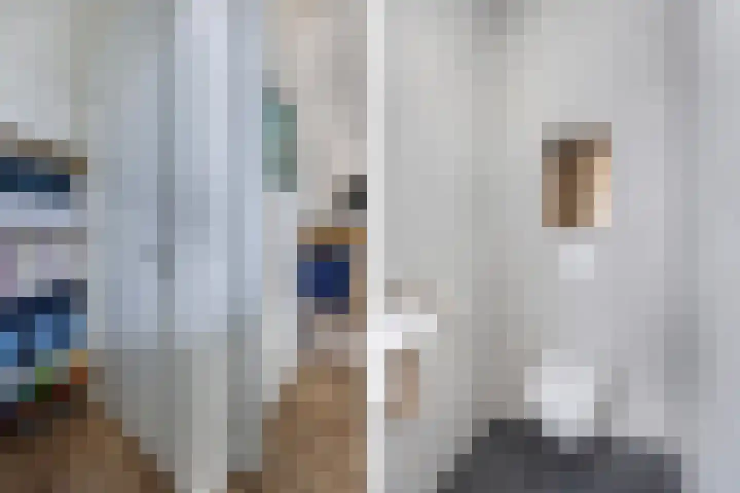 Kerkstraat 9 Vollenhove thumbnail 14