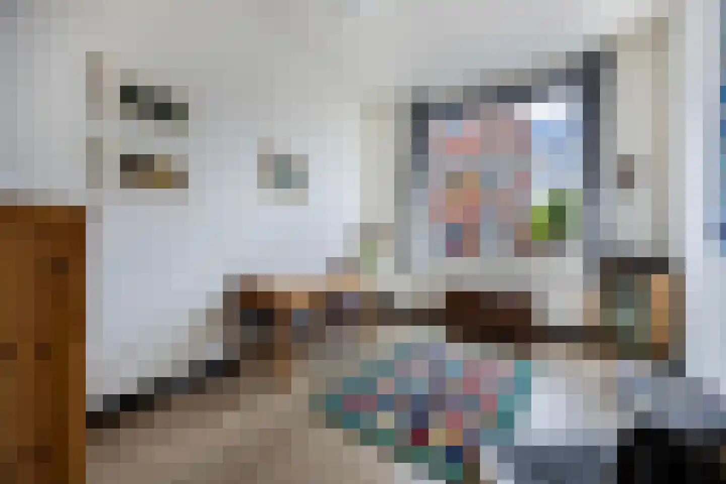 Kerkstraat 9 Vollenhove thumbnail 15