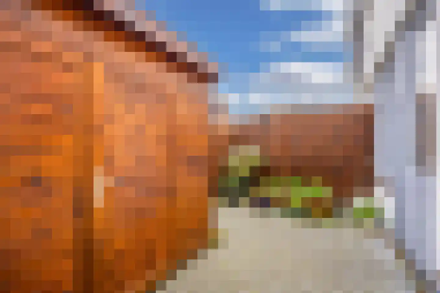 Kerkstraat 9 Vollenhove thumbnail 30