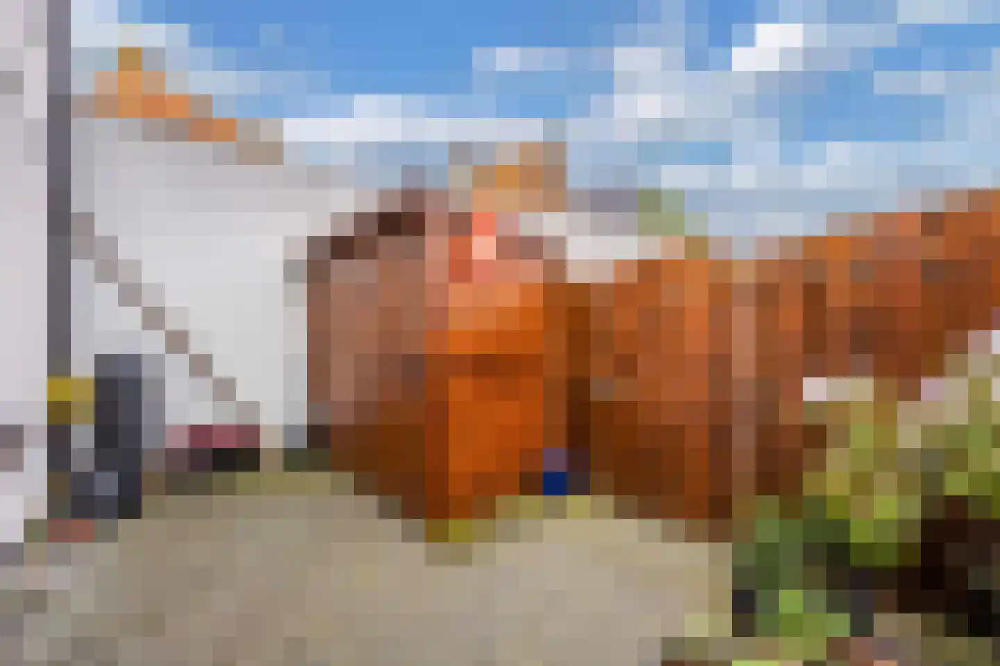 Kerkstraat 9 Vollenhove thumbnail 32