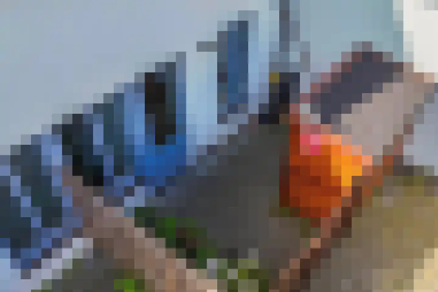 Kerkstraat 9 Vollenhove thumbnail 33