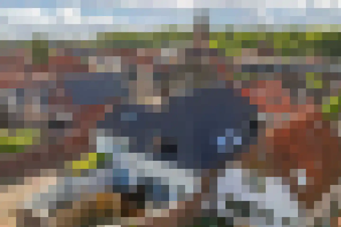 Kerkstraat 9 Vollenhove thumbnail 39