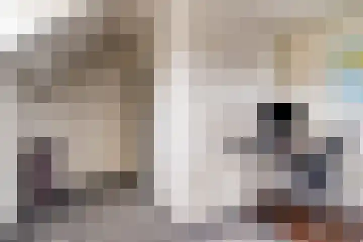 Kerkstraat 9 Wagenberg thumbnail 21