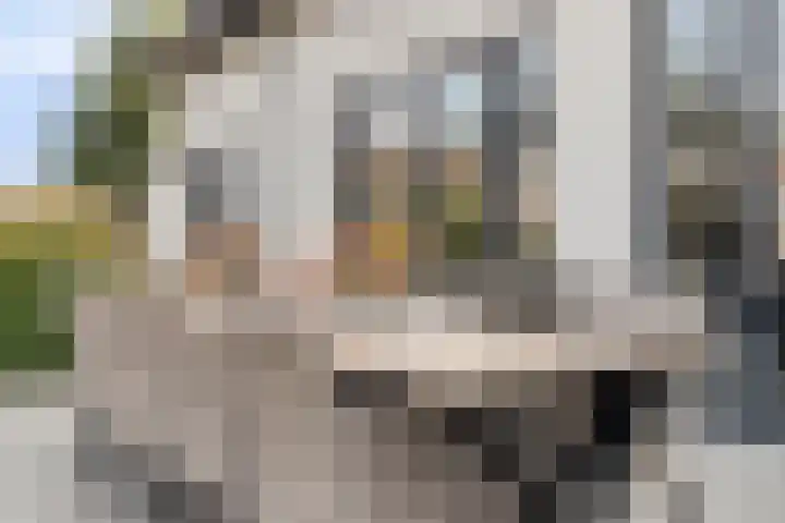 Kerkstraat 9 Wagenberg thumbnail 31