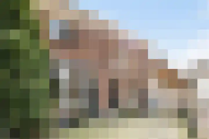 Kerkstraat 9 Weesp thumbnail 6