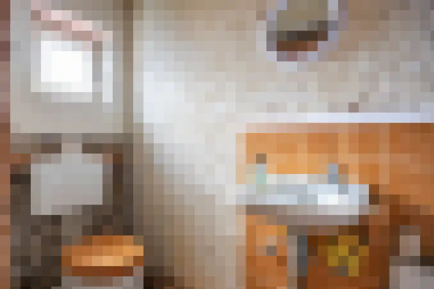 Kerkstraat 9 Zoutkamp thumbnail 24