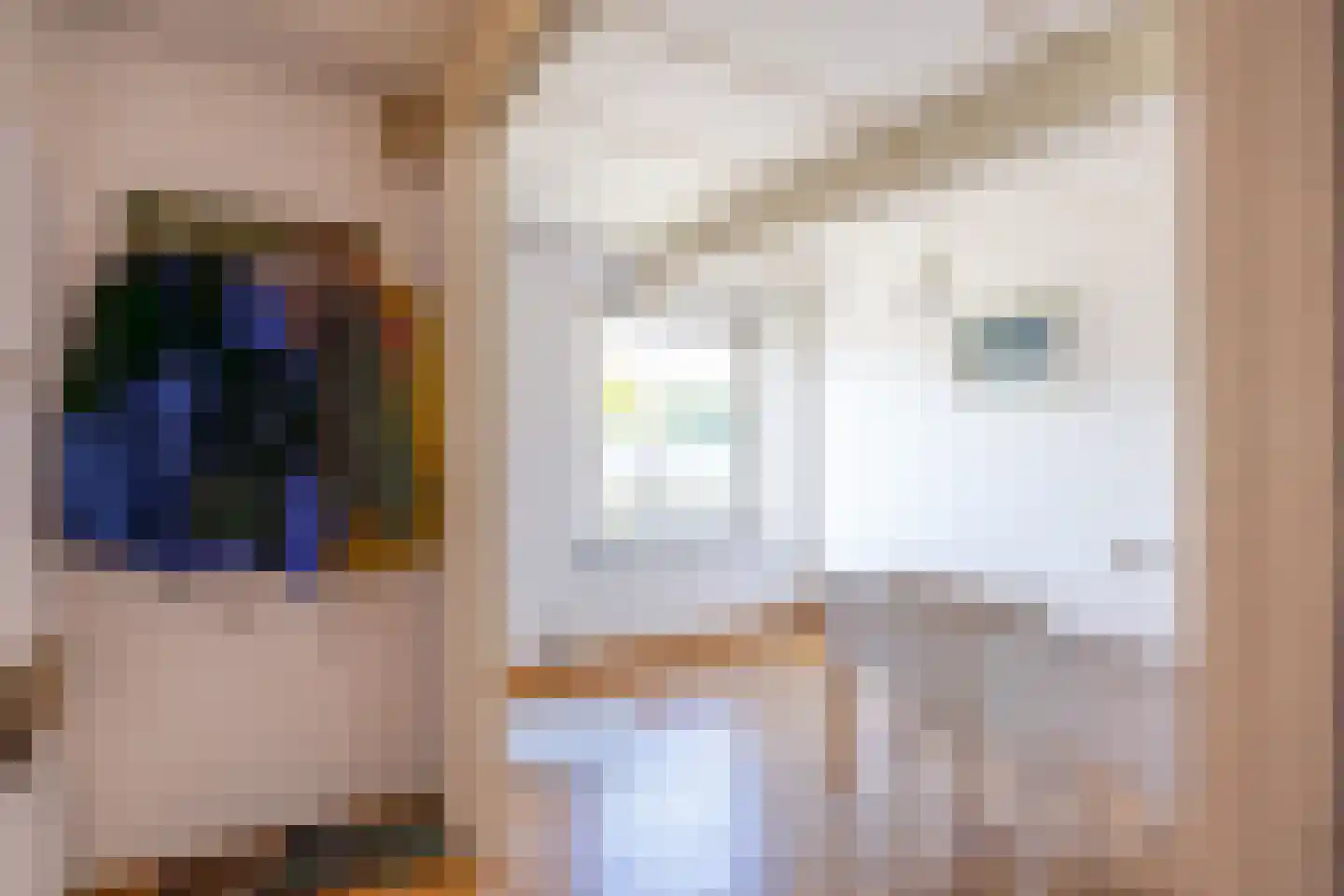 Kerkstraat 9 Zoutkamp thumbnail 5
