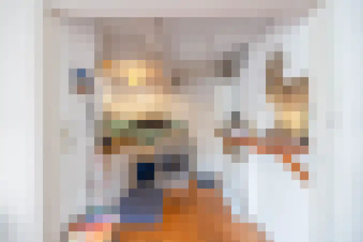 Kerkstraat 9 Zoutkamp thumbnail 9