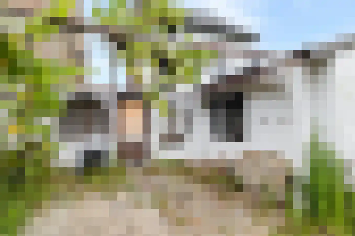 Kerkstraat 90 Landgraaf thumbnail 4