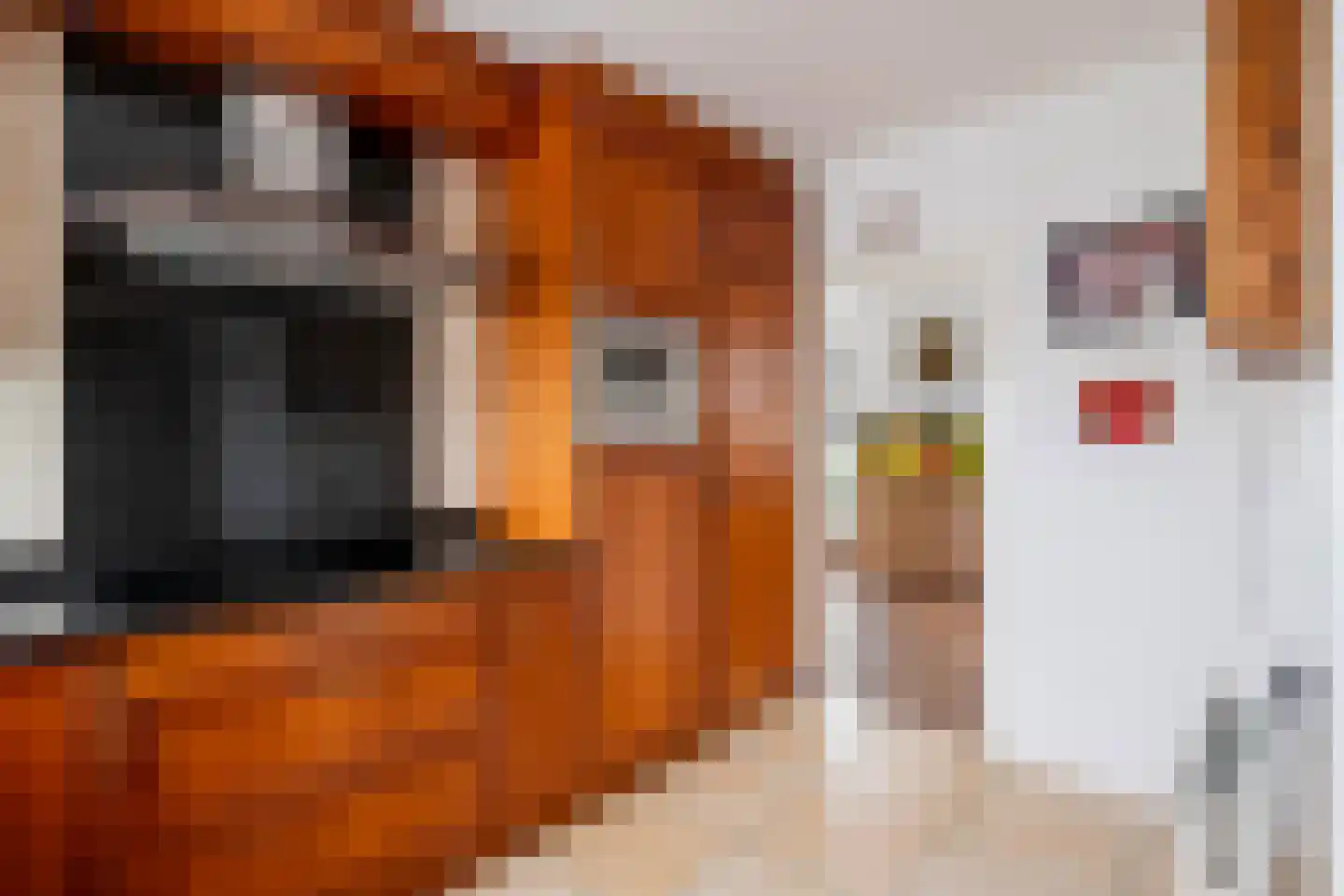 Kerkstraat 91 Putten thumbnail 13