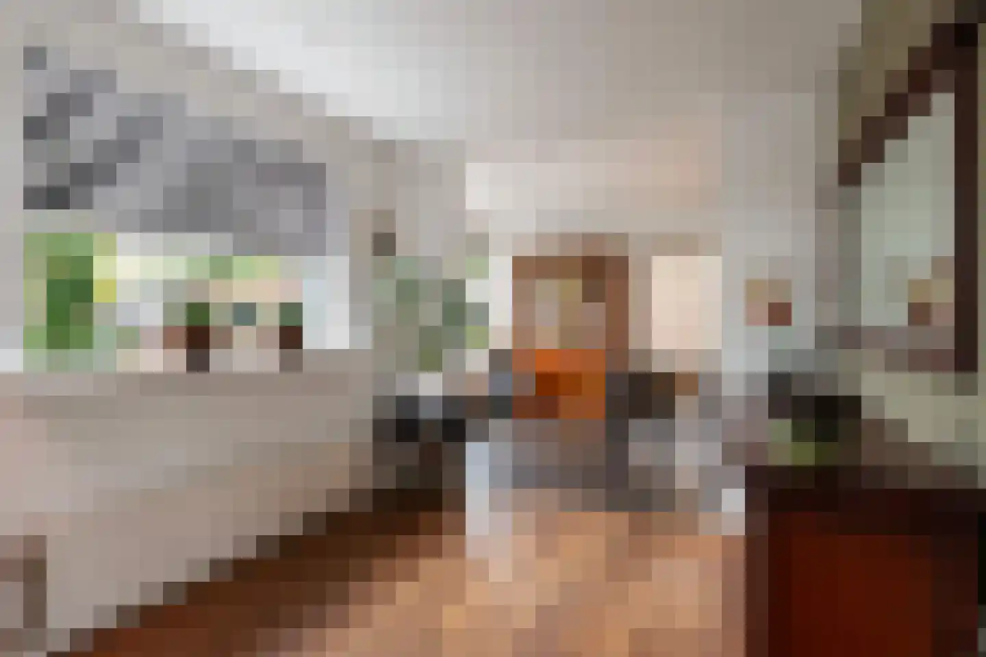 Kerkstraat 91 Putten thumbnail 18