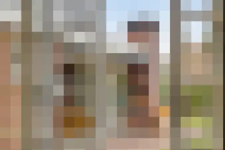 Kerkstraat 91 Zeeland thumbnail 30