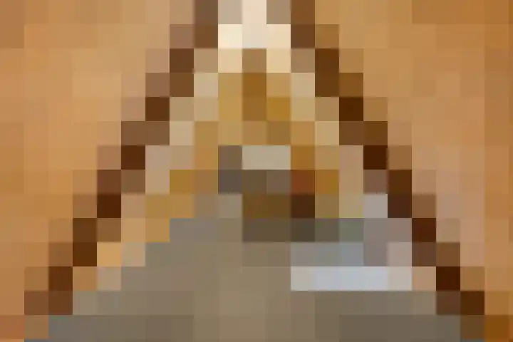 Kerkstraat 91 Zeeland thumbnail 46