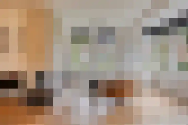 Kerkstraat 91 Zeeland thumbnail 7