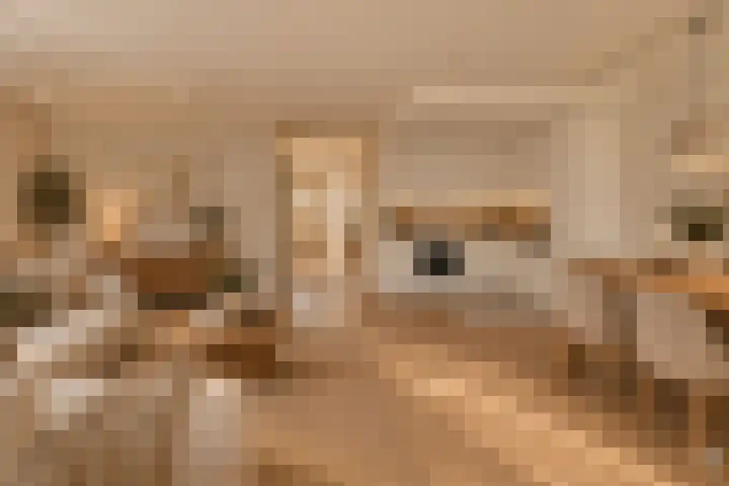 Kerkstraat 92 Ulft thumbnail 10