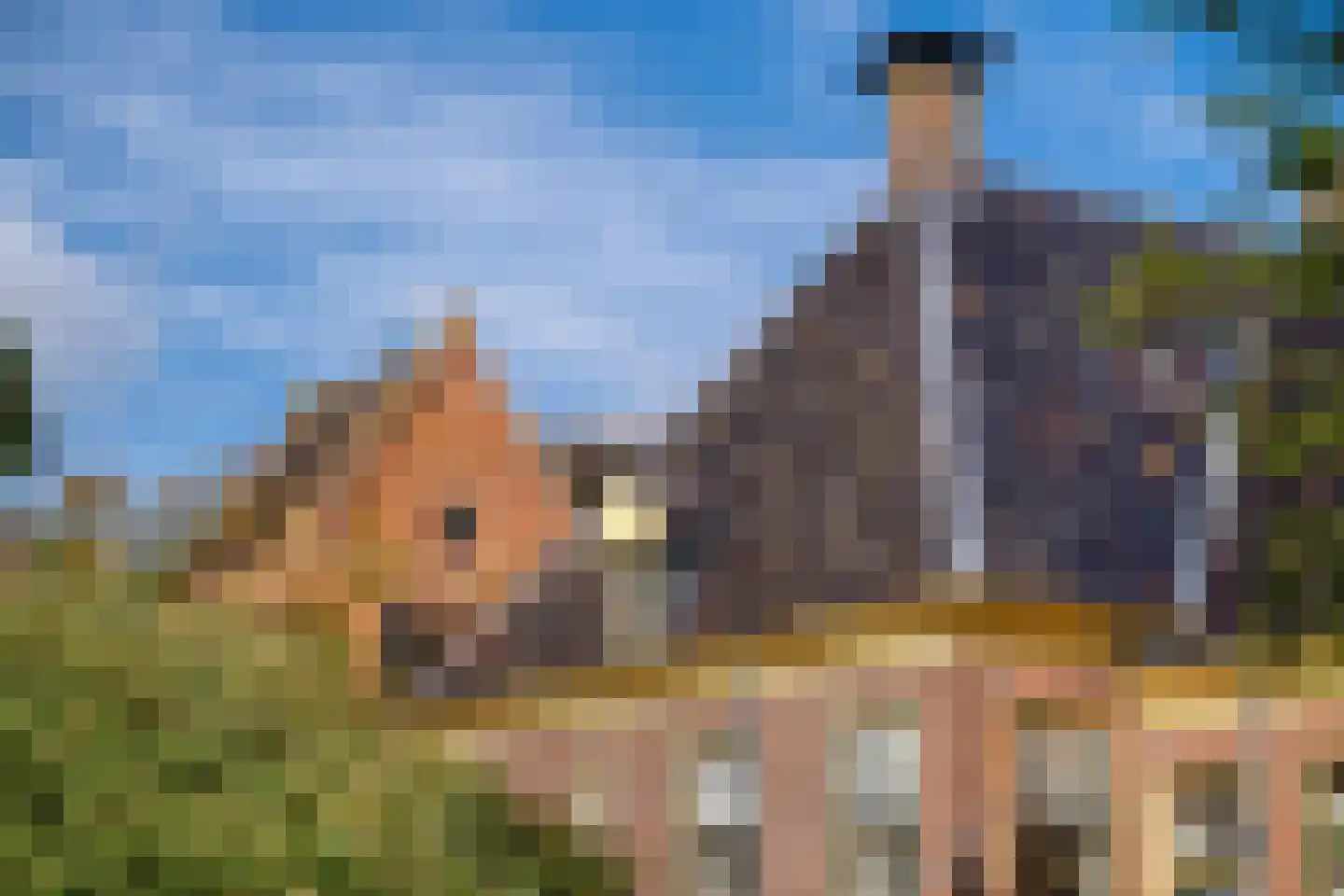 Kerkstraat 92 Zuidbroek thumbnail 70