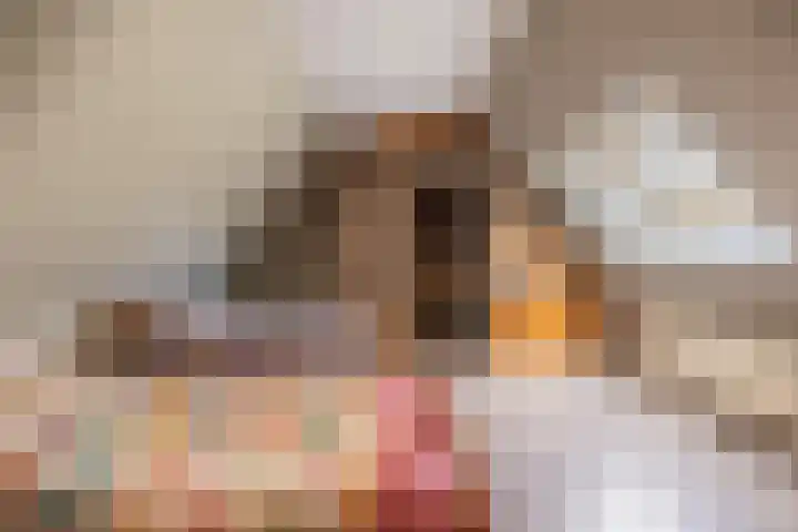 Kerkstraat 93 Drempt thumbnail 43