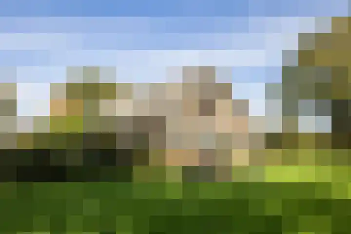 Kerkstraat 93 Drempt thumbnail 45