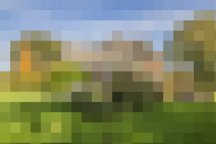 Kerkstraat 93 Drempt thumbnail 48